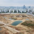 경기도 수원시 영통구 동수원로 482 (매탄동) 이미지