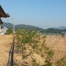 친환경우리농장 이미지