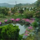 삼신농장 이미지