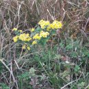 행복의섬 이미지