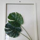 봉평마을회관 이미지