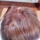 석천로177번길·석천로178번길 | 💇‍♀️ 부천중동미용실 방문기｜에이바헤어중동점 뿌리염색 후기