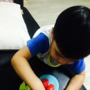 라두스 이미지