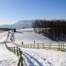 믿음목장 이미지