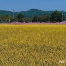 모잔들영농조합법인 이미지
