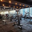 경기도 화성 봉담읍 (수원대앞) 피트니스 오후 여자파트 트레이너 구인 이미지