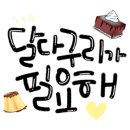앤다방 이미지