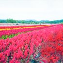 고*석 - 안양시 만안구 삼봉로 61 | 고*석