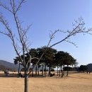 황산식당 | 양산 물금 황산공원 산책 후 라이온식당 방문후기