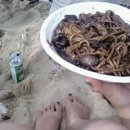 팔팔통신 이미지