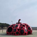 항구슈퍼 자판기 | [260628~260701]나 홀로 다녀온 다카마쓰 3박4일 여행기 ④리쓰린정원&나오시마투어