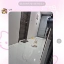 정은농장 | 초가을에 쓰는 초여름 이야기