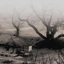 마루주막 이미지