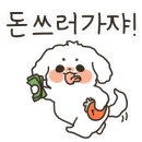 댕댕이 이발소 이미지