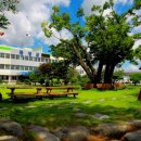 곡성-262 이미지