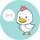 2031년 토정비법 🐷 이미지