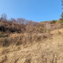 자연랜드공인중개사사무소 이미지