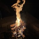 강릉 씨에스타 게스트하우스 경포본점 | [강릉] 씨에스타 게스트하우스 경포본점 파티 후기