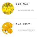 경기대명고등학교 이미지