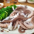 보성산쭈꾸미 네이버블로그