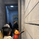 중국 상하이 디즈니랜드 먹거리 반입 트립닷컴 주토피아 트론 캐리비안의해적 피터팬 후기