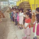 평촌목장 이미지