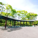 황새울공원 이미지