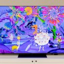 TV추천 LG 올레드 evo G5 (엘지 OLED65G5KNA) 사용 후기