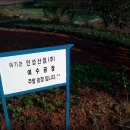 조동일농장 이미지