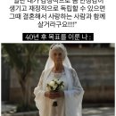 왈라 네이버블로그
