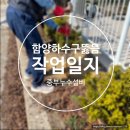 함양설비 - 부산진구 성지로35번길 3 | 백전면 단독주택 변기 하수구 막힘 해결! 중부누수설비 21년 경력 리지드 청소기 배관청소 작업 후기