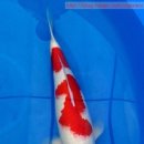 광릉금리원 이미지