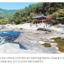 번지없는주막