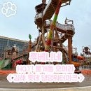 모여라 댕댕 | 여름되기 전 핫타임! 김해 롯데 댕댕워터파크 물개들 모여라! +김해 애견셀프목욕 슈슈댕