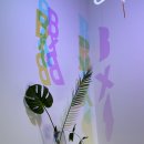 비바커피 | [이천] 브루잉커피 맛집 이천 부발읍 카페 '비바비' 내돈내산 후기