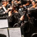 꿈나무로 이미지