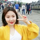 일출봉아로니아 이미지