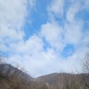 몬테라 마스돔 내돈내산 피칭 후기 |억울한 사건