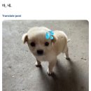 소설들 먹금하고 빽다방 아아 500원 판매 후기나 들어와
