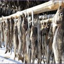 대관령황태이야기 이미지