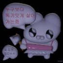 성공시대 | 미친 토익 다니고 나의 성공시대 시작됐다 💖 기본 주 3 LC 465점💖 후기