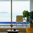 호호용담 이미지