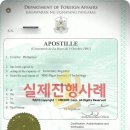 미드미 이미지