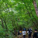 관악산 최단코스로 등산하기 건설환경종합연구소 등산코스