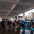 돌고래펜션민박 이미지