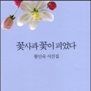 꽃사과 꽃이 피었다 - 황인숙 시집 / 문학세계사 이미지