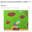 소맥타고 이미지