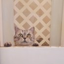 고양이호텔 묘랑묘랑 이미지