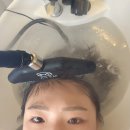 살롱드 오늘 | 대전두피케어 야간미용실 힐링 헤어스파 살롱드프로 솔직후기