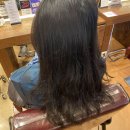 ㈜테틈 서울지점 | 서울 노원 :: 노원미용실추천 네이처헤어 노원역2호점 세린 실장님 3S클리닉으로 머릿결 리셋한 후기